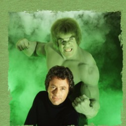 The Incredible Hulk Bill Bixby Lou Ferrigno 70s Tv Show Fan T Shirt 38594988