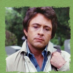 The Incredible Hulk Bill Bixby 70s Tv Show Fan T Shirt 38594993