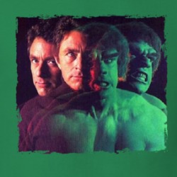 The Incredible Hulk 70s Tv Show Fan T Shirt 38594995