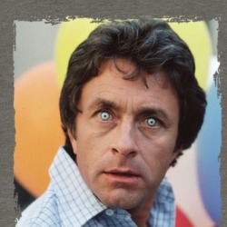 The Incredible Hulk David Banner 70s Tv Show Fan T Shirt 38595008