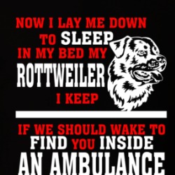Now I Lay Me Down To Sleep On My Bed My Rottweiler Funny Dog Owners T Shirt 38602006