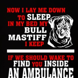 Now I Lay Me Down To Sleep On My Bed My Bull Mastiff Funny Dog Owners T Shirt 38602010