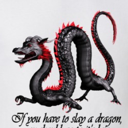 Slay A Dragon In His Lair Before He Comes To Your Village T Shirt 38602025