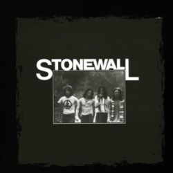 Stonewall Electronic Music Fan Album Cover T Shirt 38611273