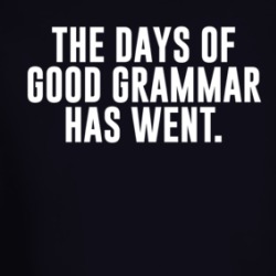The Days Of Good Grammar Has Went Funny Long Sleeve T Shirt 38663617