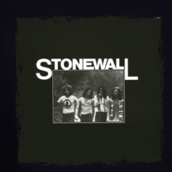 Stonewall Electronic Music Fan Album Cover Long Sleeve T Shirt 38663786