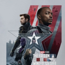 The Falcon And The Winter Solder Superhero Movie Fan T Shirt 38712423