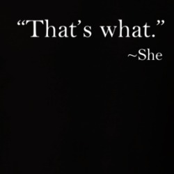 That's What She Said Funny Quote T Shirt 38728298