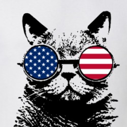Freedom Cat Patriotic Glasses Animal Lover T Shirt 38728312