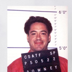 Robert Downey Jr Mugshot Fan T Shirt 38741015