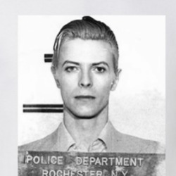 Ziggy David Mugshot Music Fan T Shirt 38741824