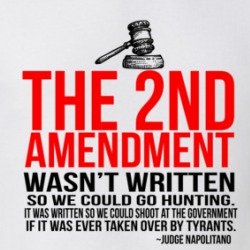 The 2nd Amendment Wasn't Written So We Could Go Hunting Quote T Shirt 38764985