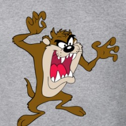 Tazmanian Devil Character T Shirt 38829481