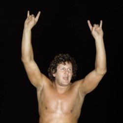 Cowboy Bob Orton Wrestler T Shirt 38829496