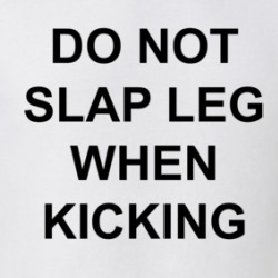 Do Not Slap Leg When Kicking T Shirt 38860941