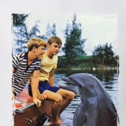 Flipper Tv T Shirt 38878806