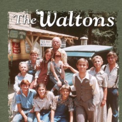 The Waltons 70s Tv T Shirt 38903997
