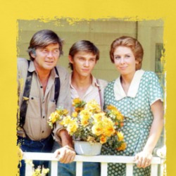 The Waltons Tv T Shirt 38903998