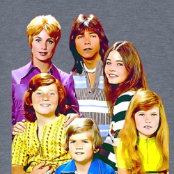 Partridge Family Tv T Shirt 38908168
