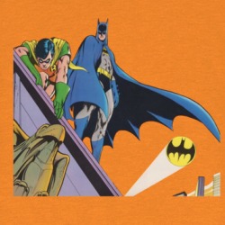 Batman And Robin T Shirt 38937885