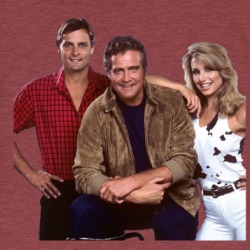 Fall Guy Tv T Shirt 38937886