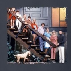 Brady Bunch Family T Shirt 38937890