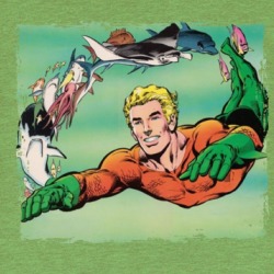Aquaman Hero T Shirt 38937894