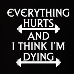 Everything Hurts And I Think I'm Dying T Shirt 38943792