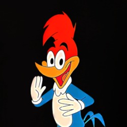 Woody Woodpecker Cartoon T Shirt 38943796