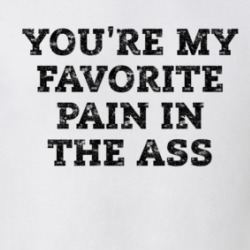 You're My Favorite Pain In The Ass T Shirt 38983766