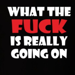 What The Fuck Is Really Going On T Shirt 38983768