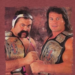 Rick And Scott Steiner T Shirt 38983801
