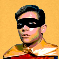 Robin Dick Grayson Batman T Shirt 39022978