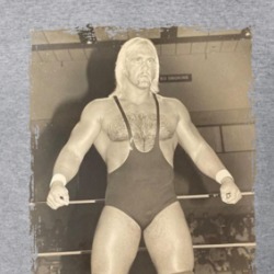 Hulk Hogan T Shirt 39044735