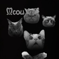 Meow Cat Lover Parody T Shirt 39046688