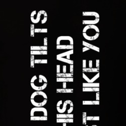 My Dog Tilts His Head Just Like You T Shirt 39129444