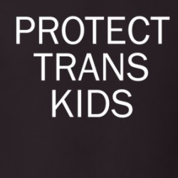 Protect Trans Kids T Shirt 39129445