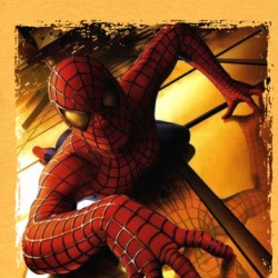 Spiderman T Shirt 39129479