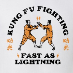 Kung Fu Fighting Fast As Lightningt T Shirt 39131583