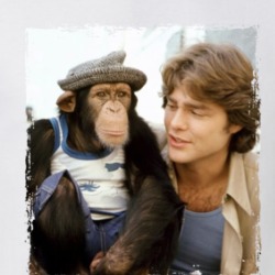 B.j. And The Bear Greg Evigan T Shirt 39140812