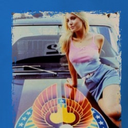 Heather Thomas Fall Guy Car T Shirt 39140826
