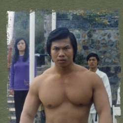 Bolo Yeung Martial Arts T Shirt 39142824