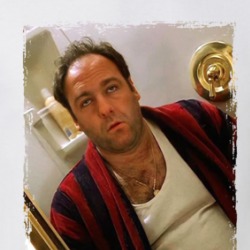 The Sopranos Tony Shower Stall T Shirt 39157896