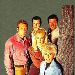 The Big Valley Cast Photo T Shirt 39158192