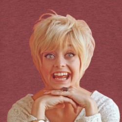 Goldie Hawn Comedian T Shirt 39160451