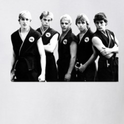 Cobra Kai Karate Kid Fan T Shirt 39178928