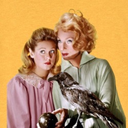 Bewitched Samantha Endora T Shirt 39180799