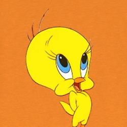 Tweety Bird Looney Tunes Character T Shirt 39185968