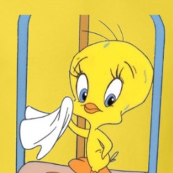 Tweety Bird Sweating Cartoon Character T Shirt 39187998
