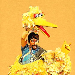 Big Bird Caroll Spinney Puppeteer Sesame Street T Shirt 39194466